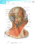 Sobotta Atlas of Human Anatomy  Head,Neck,Upper Limb Volume1 2006, page 87